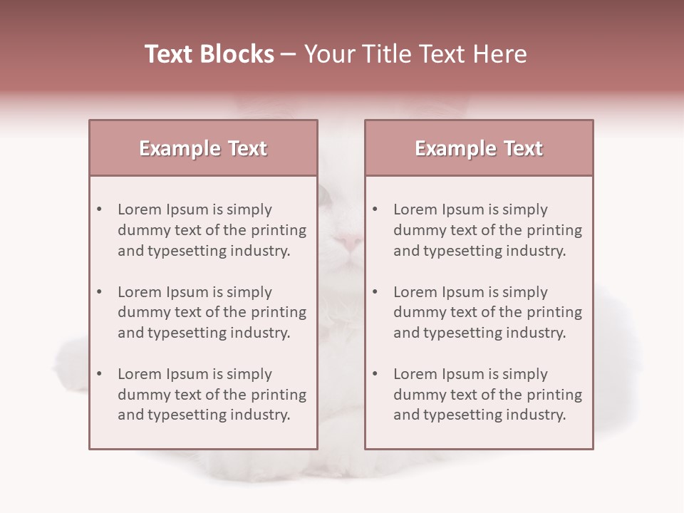 Two White Cats Naughty Background PowerPoint Template