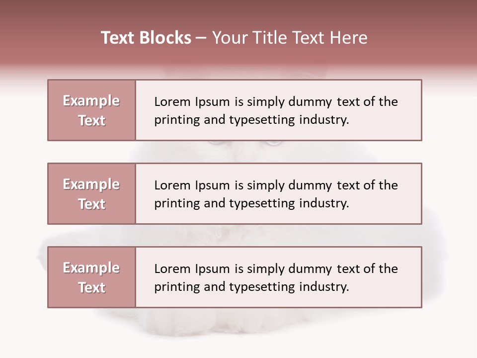 Two White Cats Naughty Background PowerPoint Template