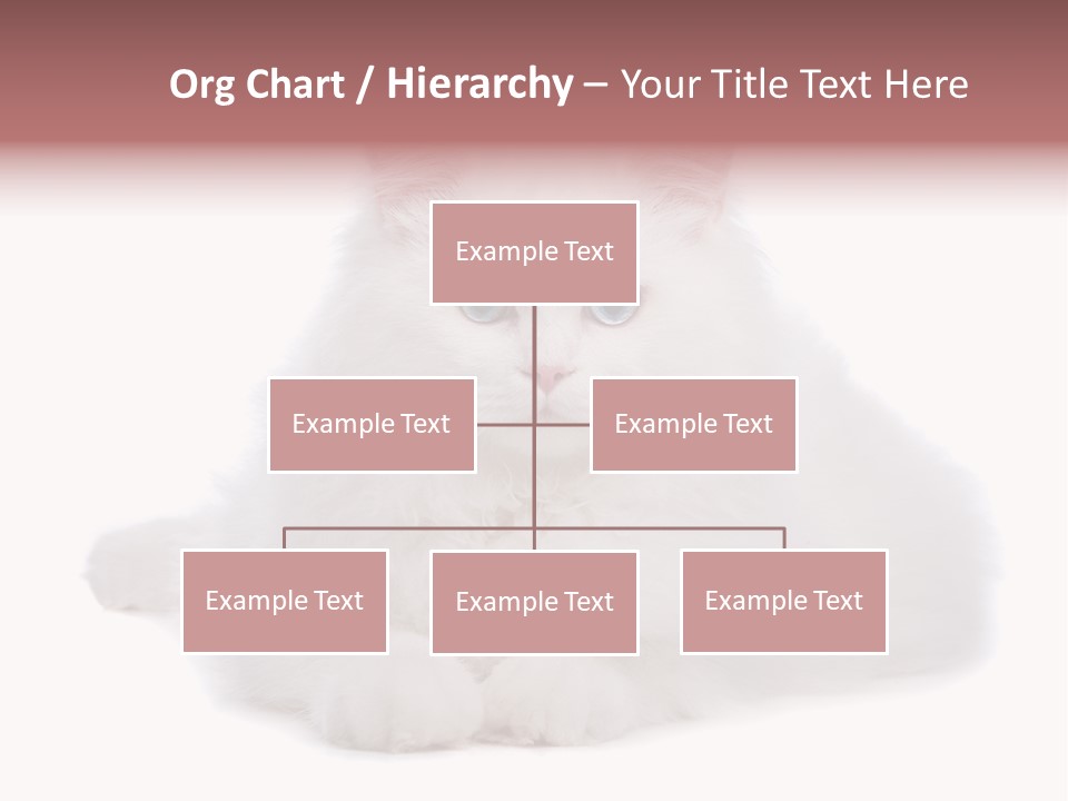 Two White Cats Naughty Background PowerPoint Template