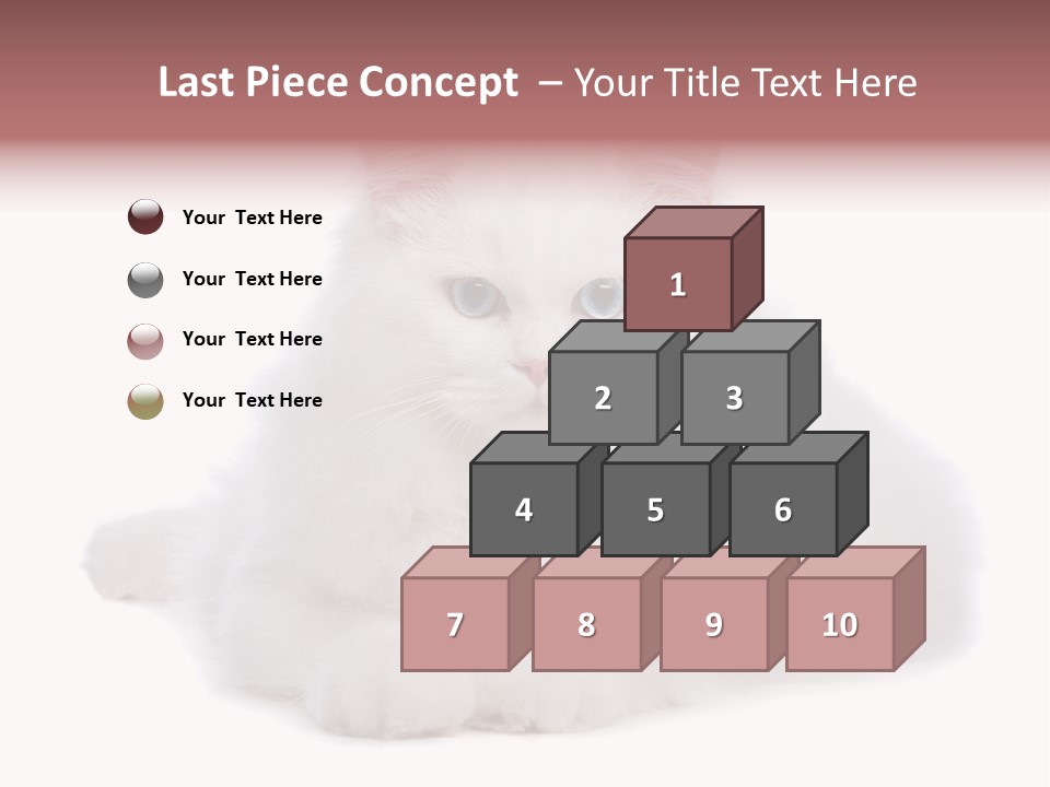 Two White Cats Naughty Background PowerPoint Template