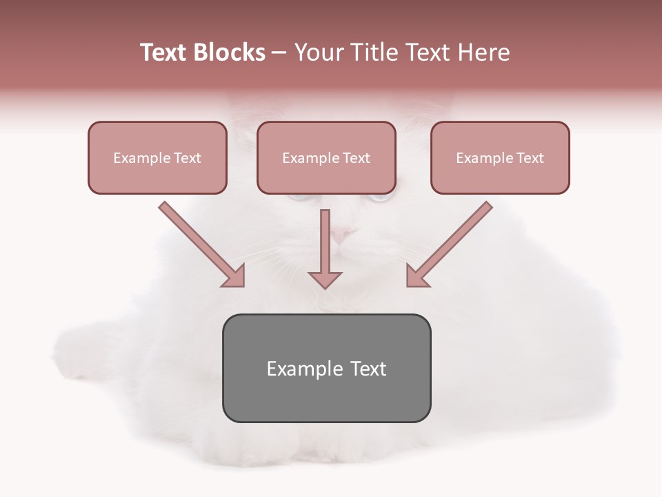Two White Cats Naughty Background PowerPoint Template