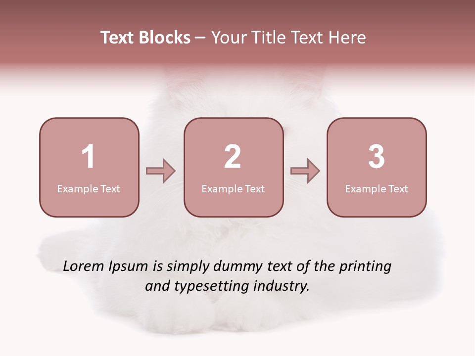 Two White Cats Naughty Background PowerPoint Template