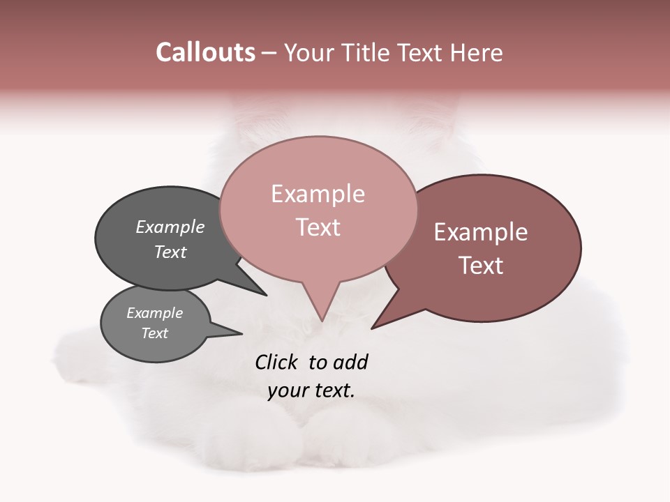 Two White Cats Naughty Background PowerPoint Template