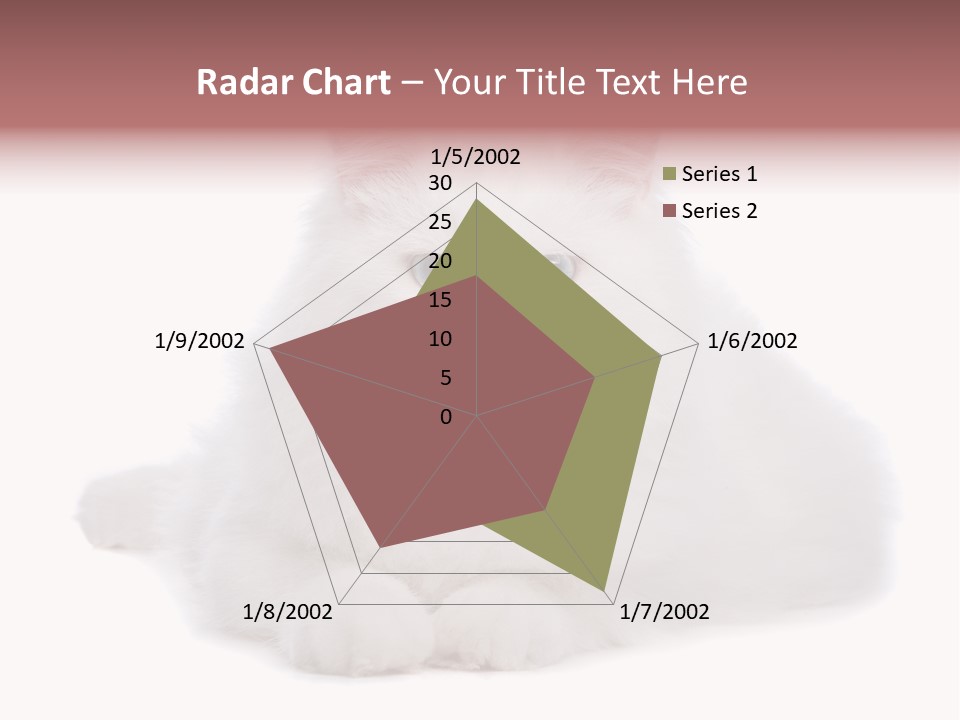 Two White Cats Naughty Background PowerPoint Template