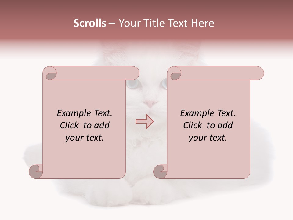 Two White Cats Naughty Background PowerPoint Template