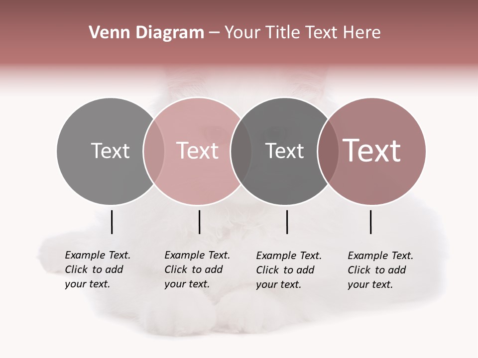 Two White Cats Naughty Background PowerPoint Template