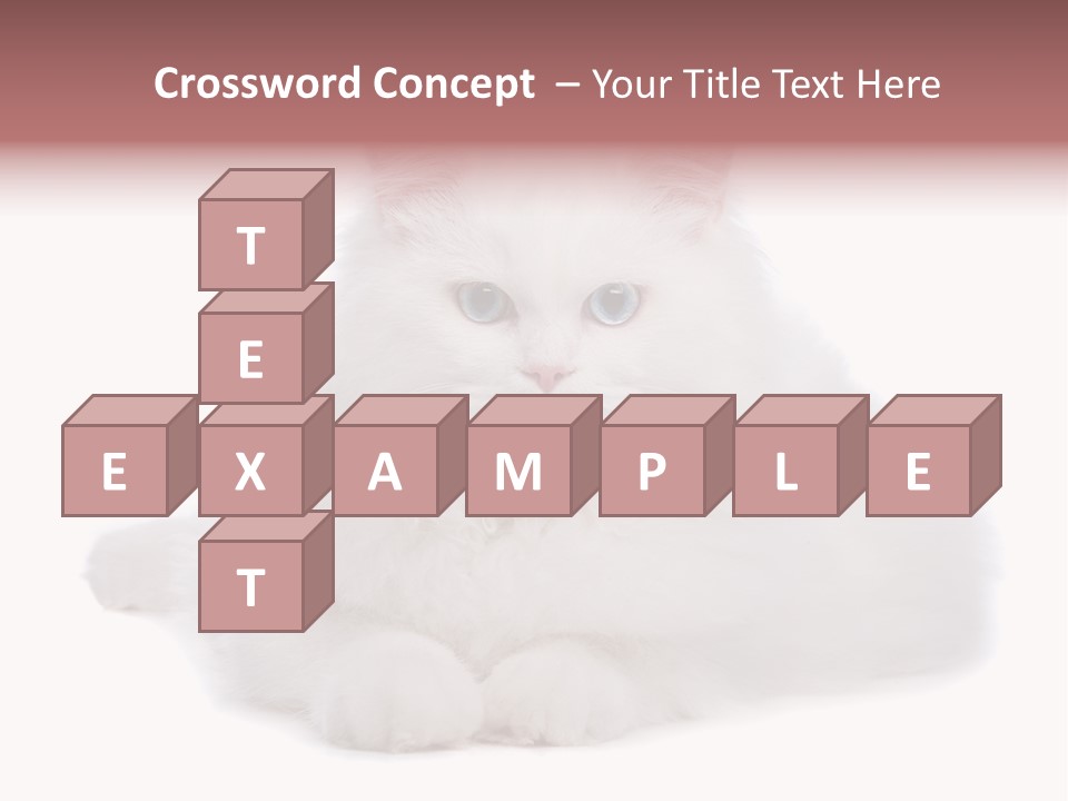 Two White Cats Naughty Background PowerPoint Template