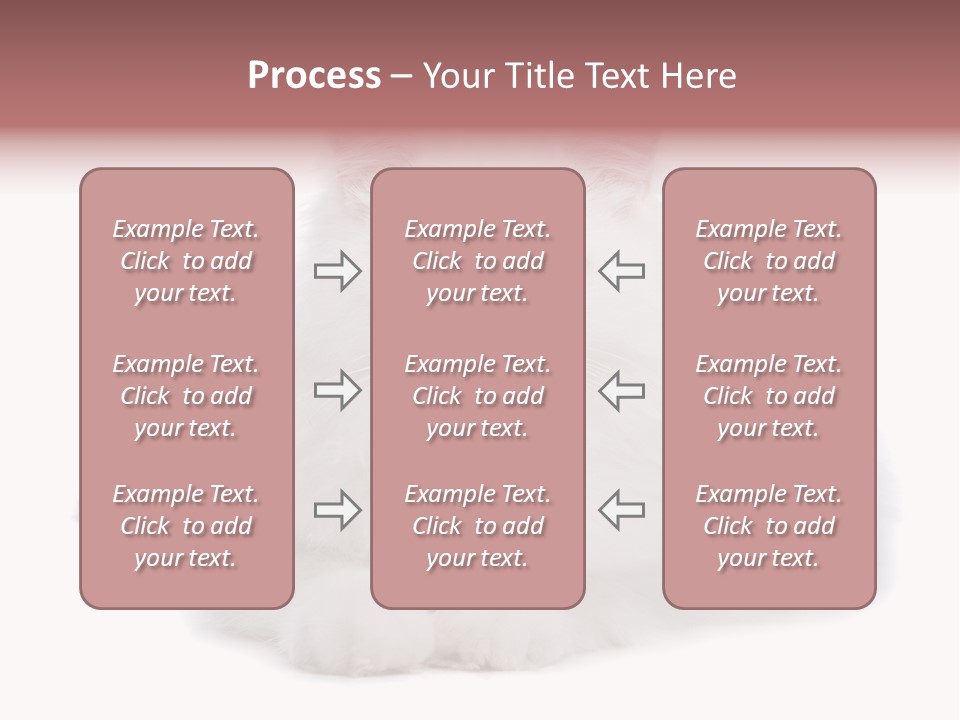 Two White Cats Naughty Background PowerPoint Template
