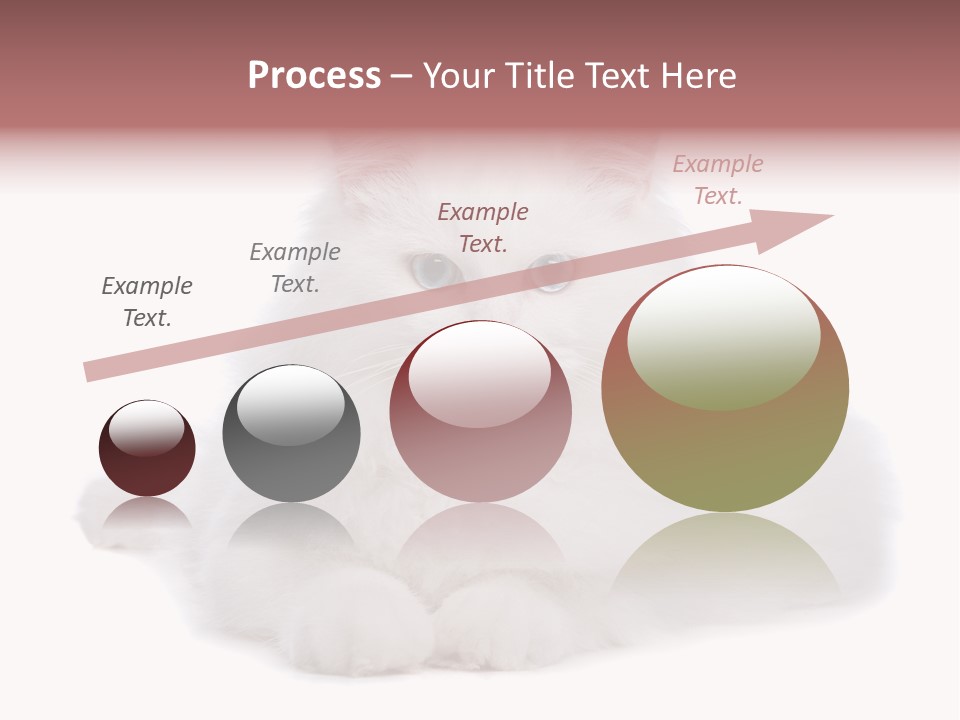 Two White Cats Naughty Background PowerPoint Template