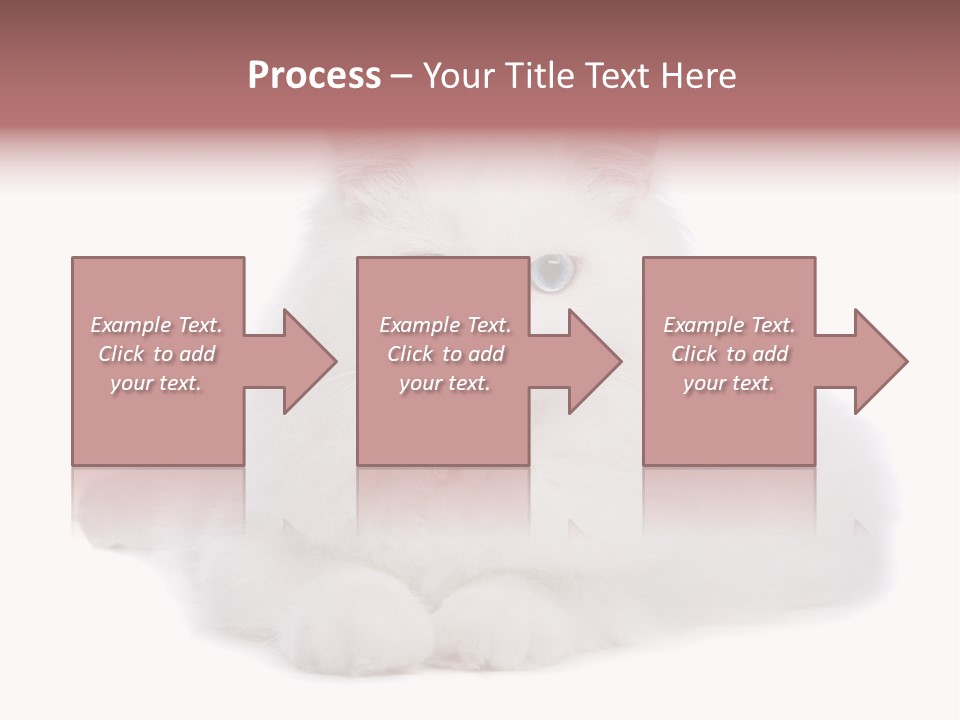 Two White Cats Naughty Background PowerPoint Template