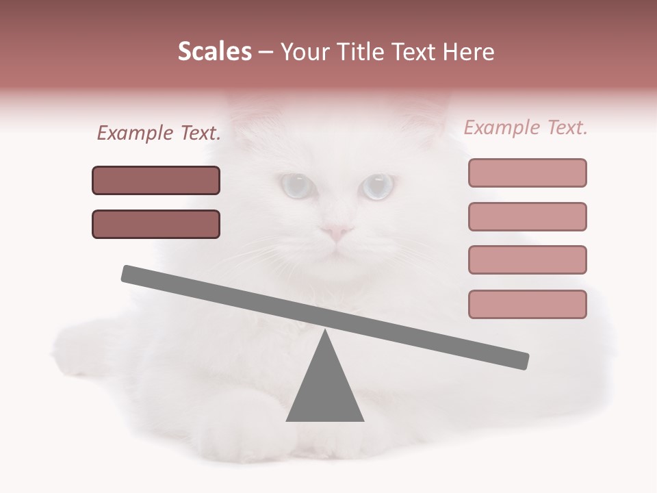 Two White Cats Naughty Background PowerPoint Template