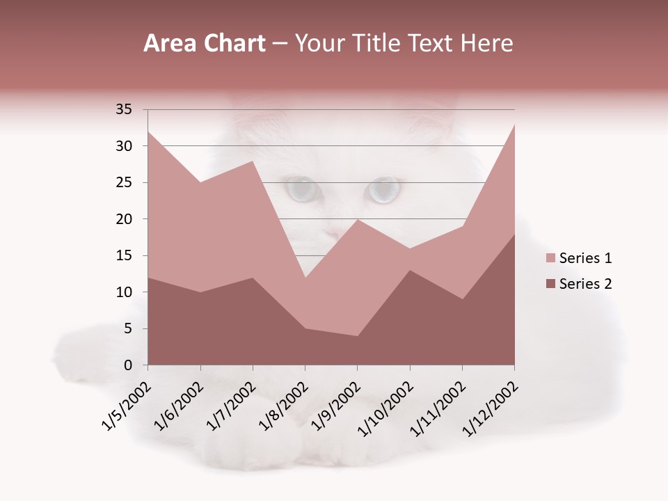 Two White Cats Naughty Background PowerPoint Template