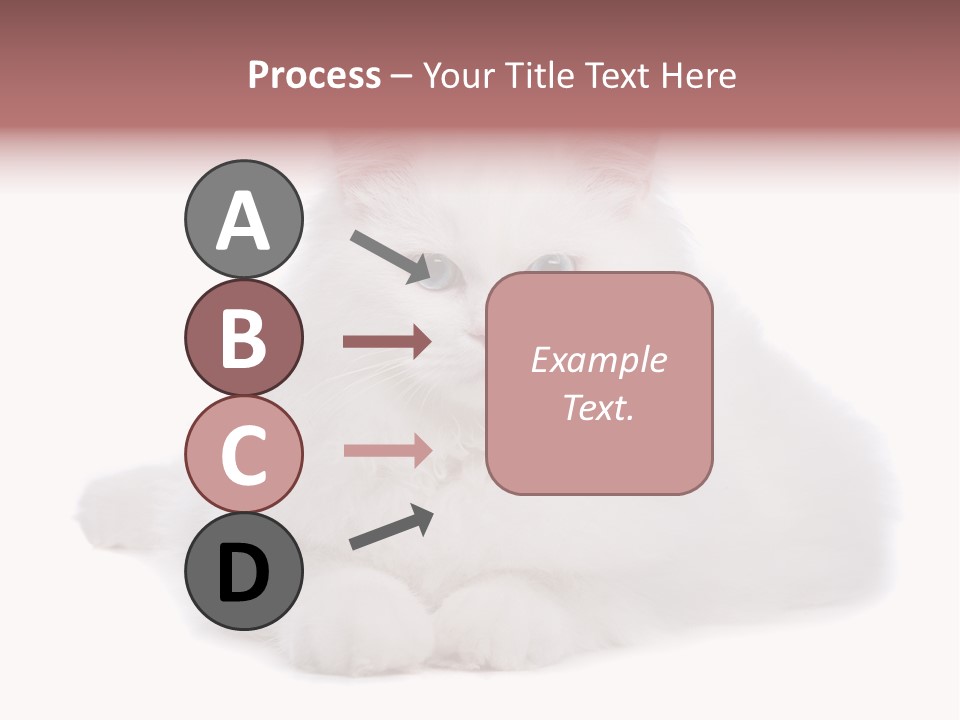 Two White Cats Naughty Background PowerPoint Template