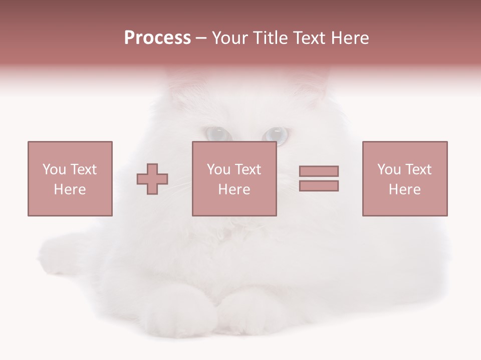 Two White Cats Naughty Background PowerPoint Template