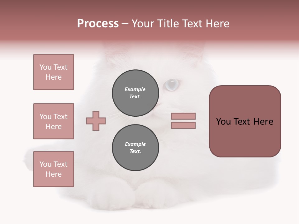 Two White Cats Naughty Background PowerPoint Template