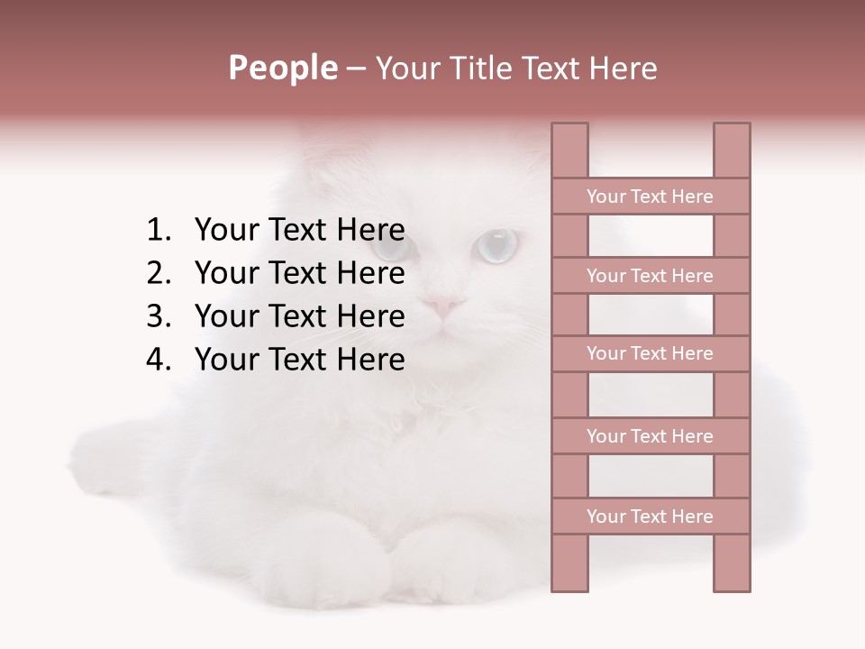 Two White Cats Naughty Background PowerPoint Template