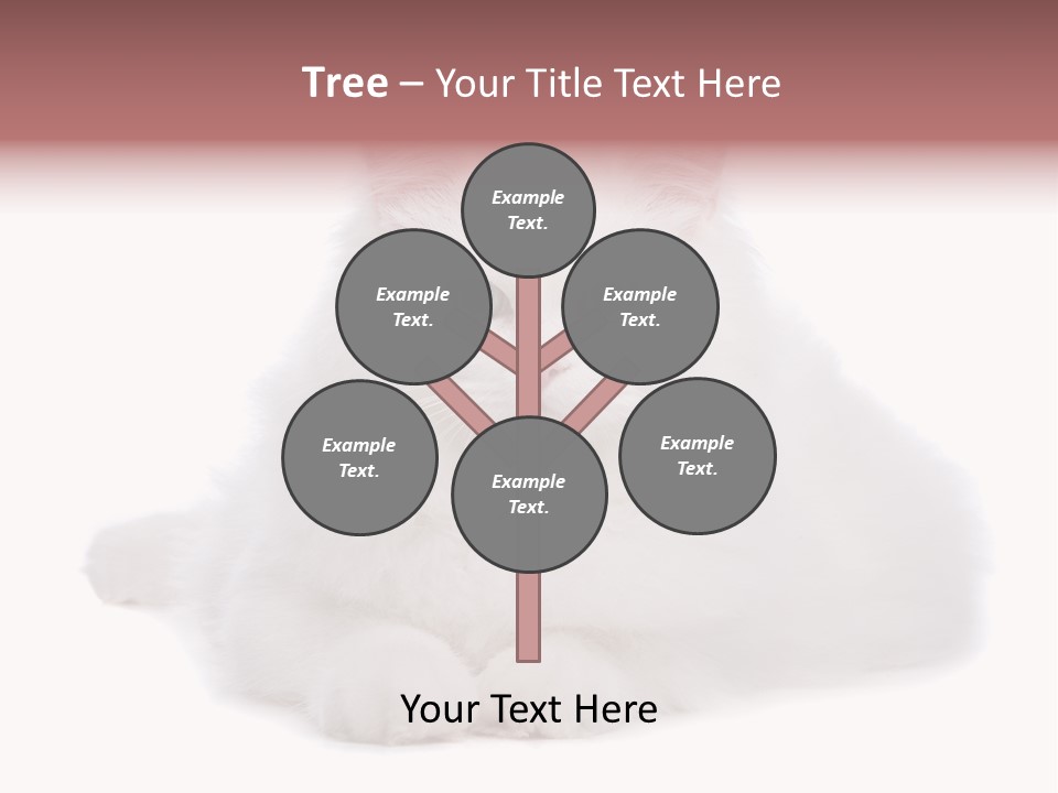 Two White Cats Naughty Background PowerPoint Template