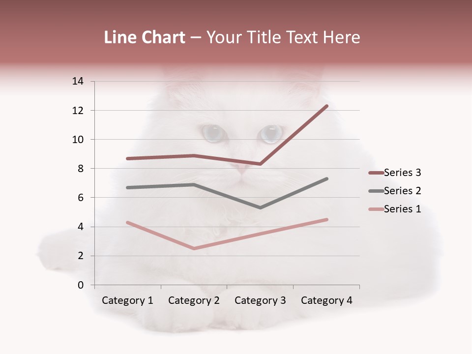 Two White Cats Naughty Background PowerPoint Template