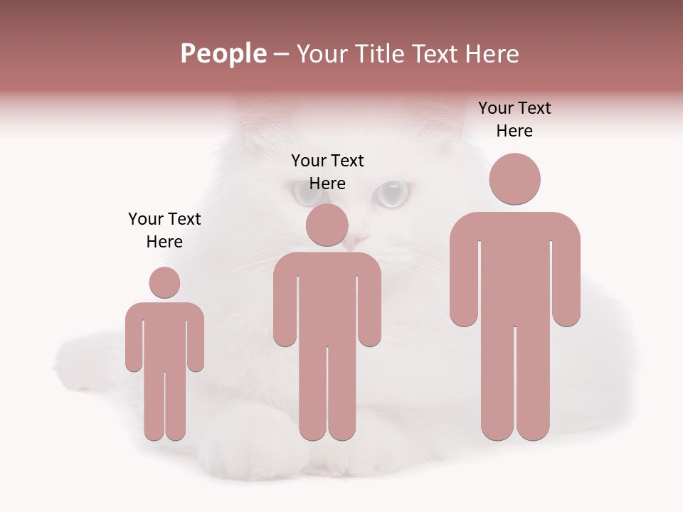 Two White Cats Naughty Background PowerPoint Template