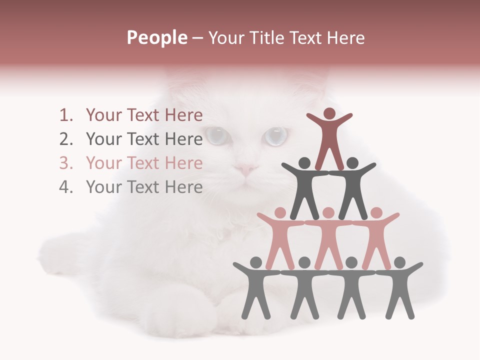 Two White Cats Naughty Background PowerPoint Template