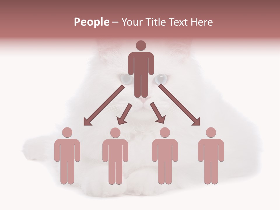 Two White Cats Naughty Background PowerPoint Template