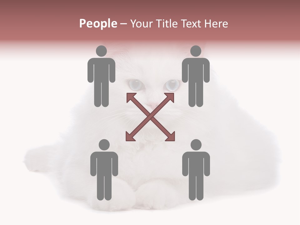Two White Cats Naughty Background PowerPoint Template