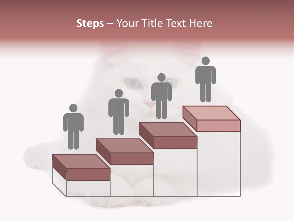 Two White Cats Naughty Background PowerPoint Template