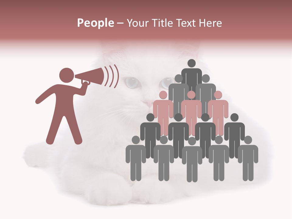 Two White Cats Naughty Background PowerPoint Template