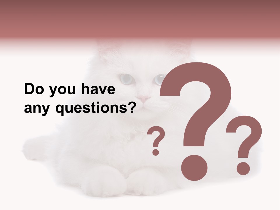 Two White Cats Naughty Background PowerPoint Template