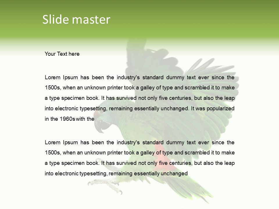 Colorful Flying Parrot PowerPoint Template