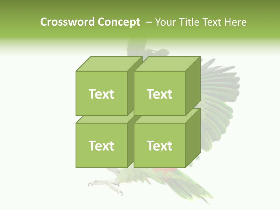Colorful Flying Parrot PowerPoint Template