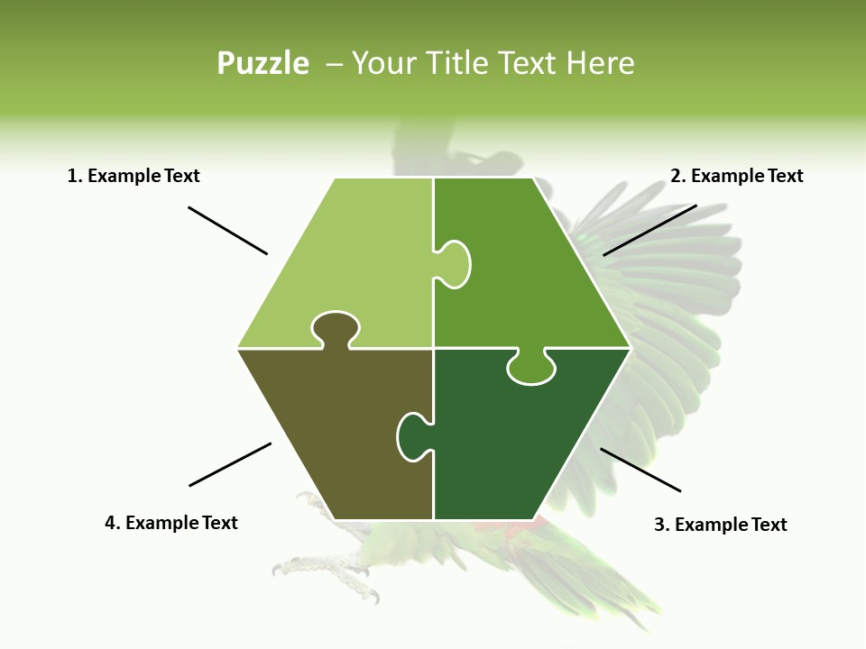 Colorful Flying Parrot PowerPoint Template