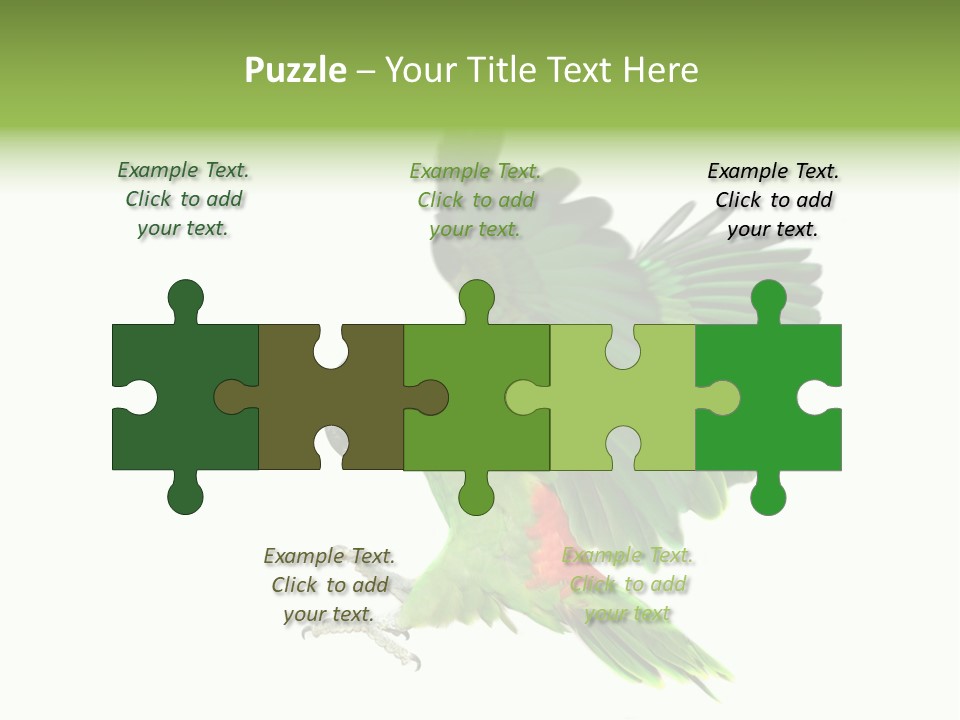 Colorful Flying Parrot PowerPoint Template