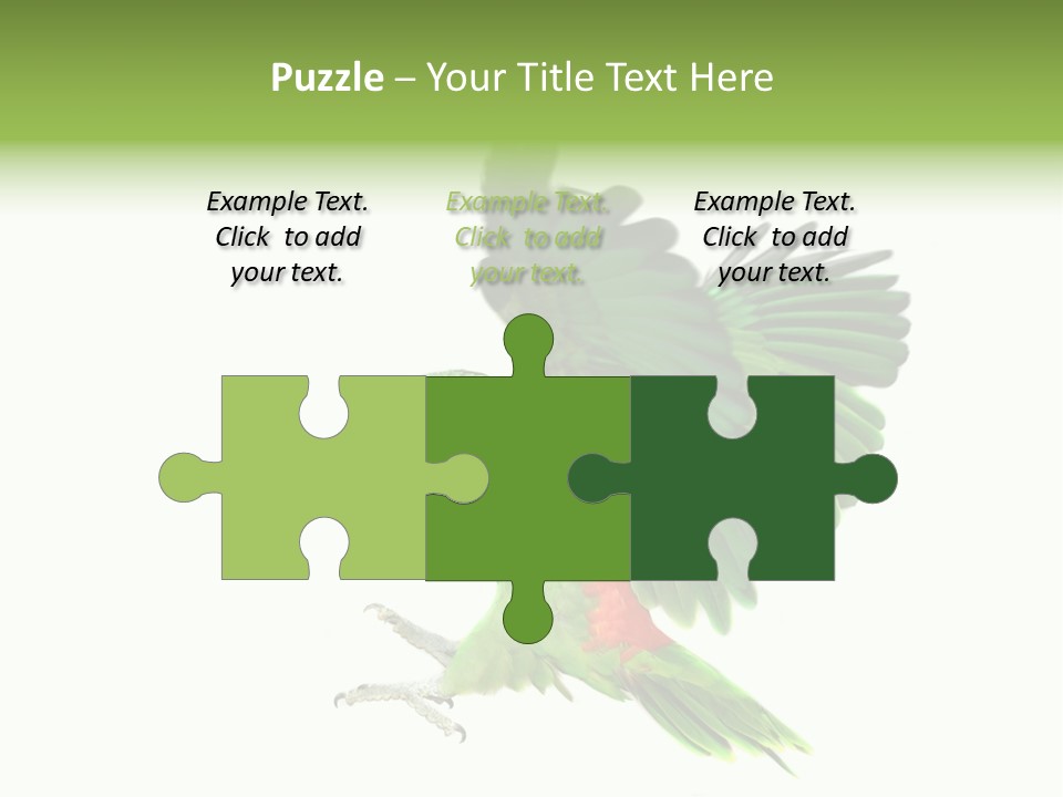 Colorful Flying Parrot PowerPoint Template