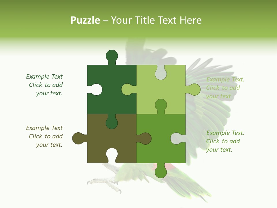 Colorful Flying Parrot PowerPoint Template