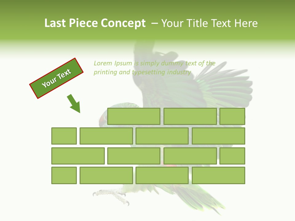 Colorful Flying Parrot PowerPoint Template