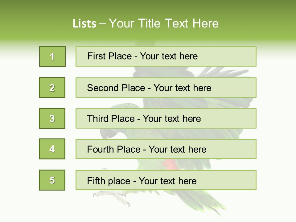 Colorful Flying Parrot PowerPoint Template