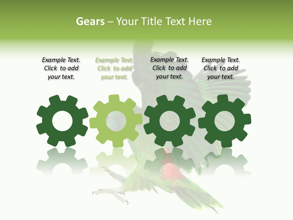 Colorful Flying Parrot PowerPoint Template