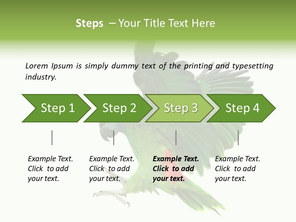 Colorful Flying Parrot PowerPoint Template
