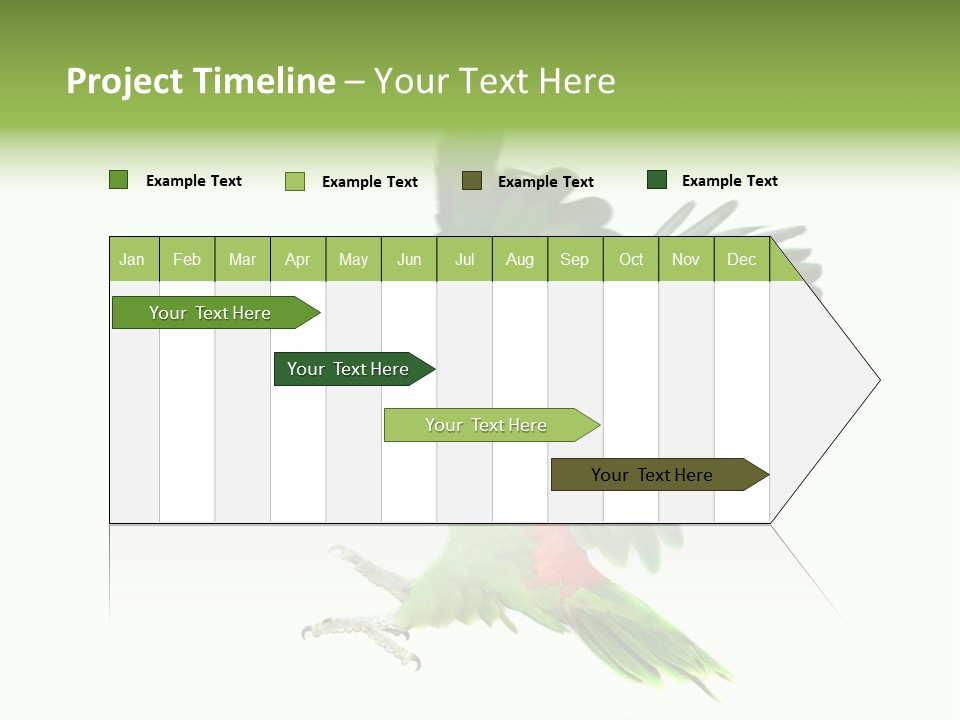Colorful Flying Parrot PowerPoint Template