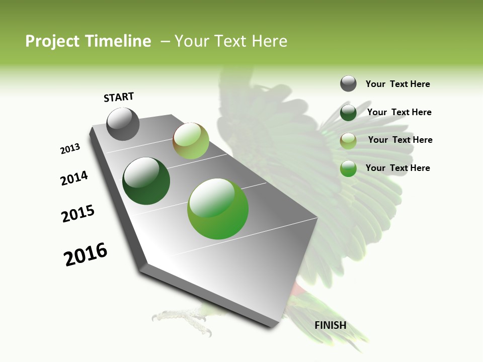 Colorful Flying Parrot PowerPoint Template