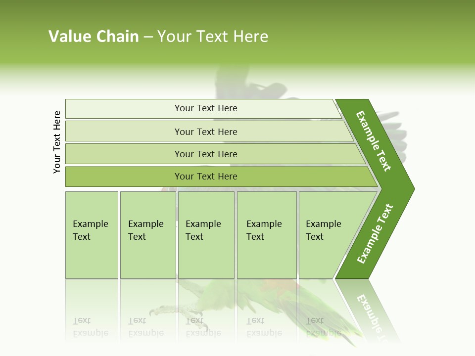 Colorful Flying Parrot PowerPoint Template