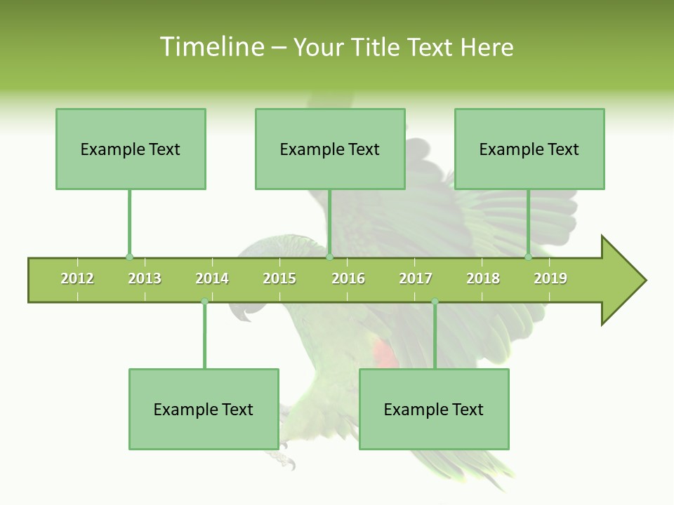 Colorful Flying Parrot PowerPoint Template