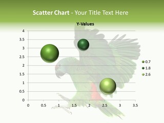 Colorful Flying Parrot PowerPoint Template