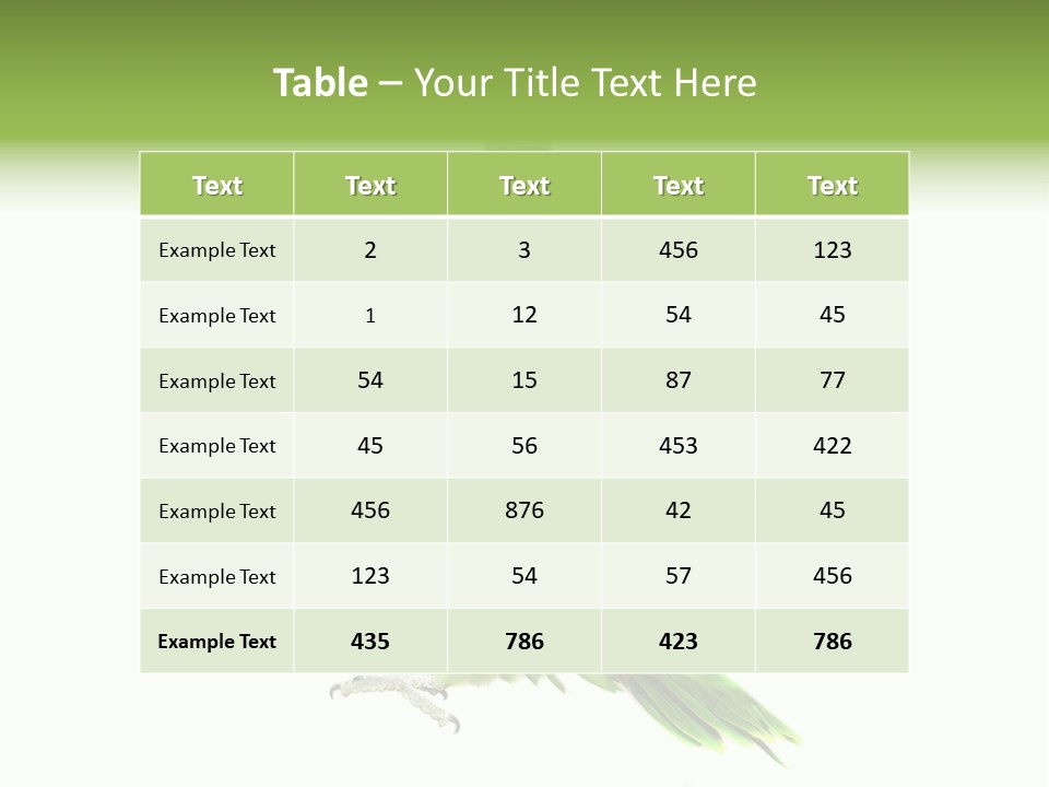 Colorful Flying Parrot PowerPoint Template