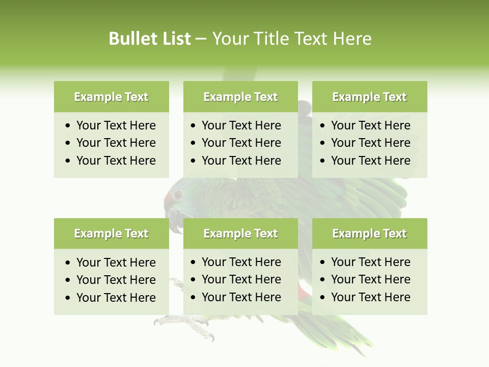 Colorful Flying Parrot PowerPoint Template