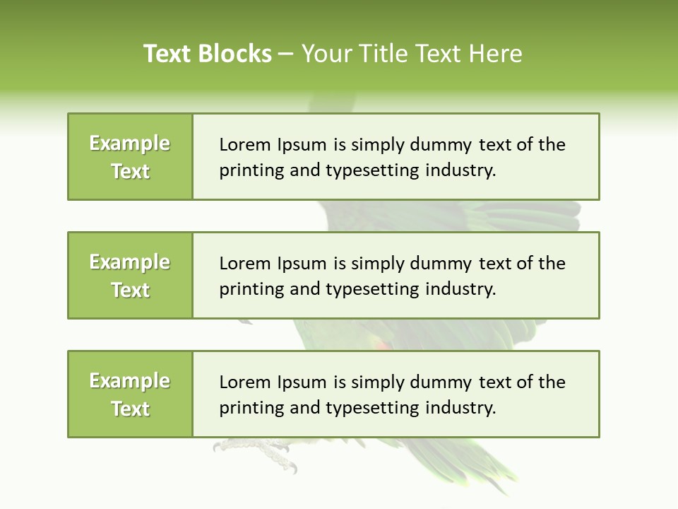 Colorful Flying Parrot PowerPoint Template