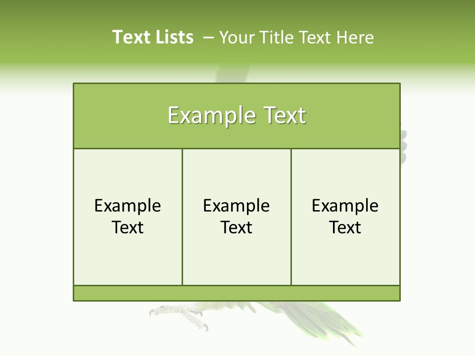 Colorful Flying Parrot PowerPoint Template