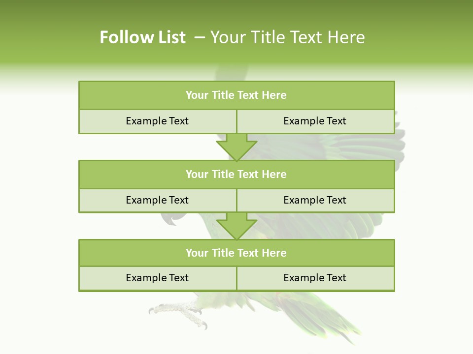 Colorful Flying Parrot PowerPoint Template