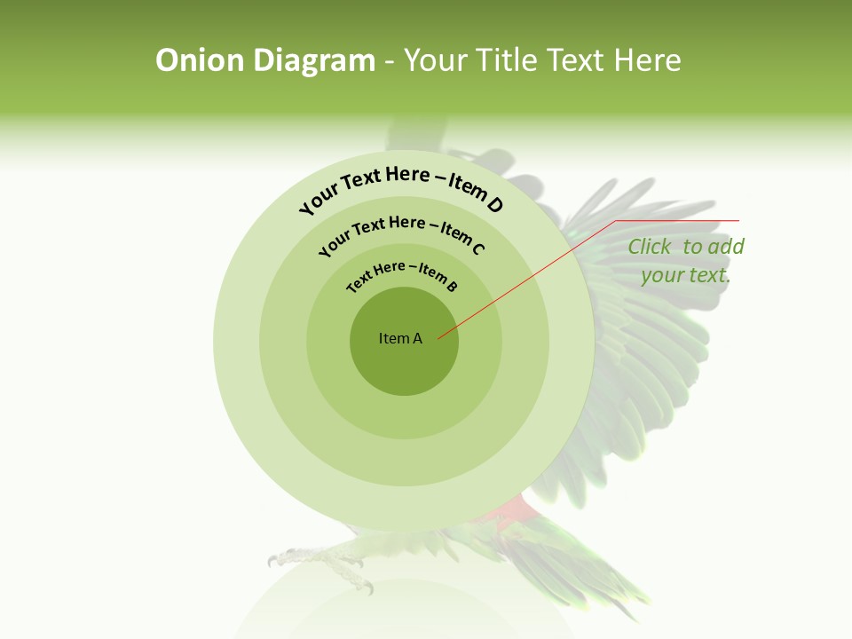 Colorful Flying Parrot PowerPoint Template